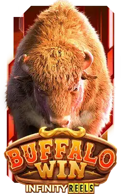 Buffalo Win PG