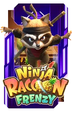 Ninja Raccoon Fenzy